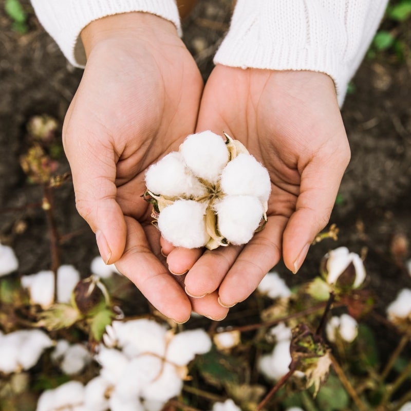 advantages of organic cotton - earth safe